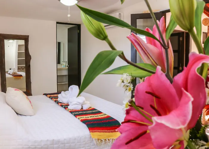 Kin Ha Hotel 3*